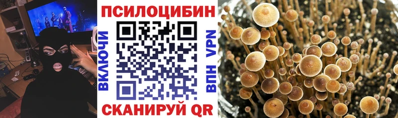 Псилоцибиновые грибы Psilocybe  Джанкой 